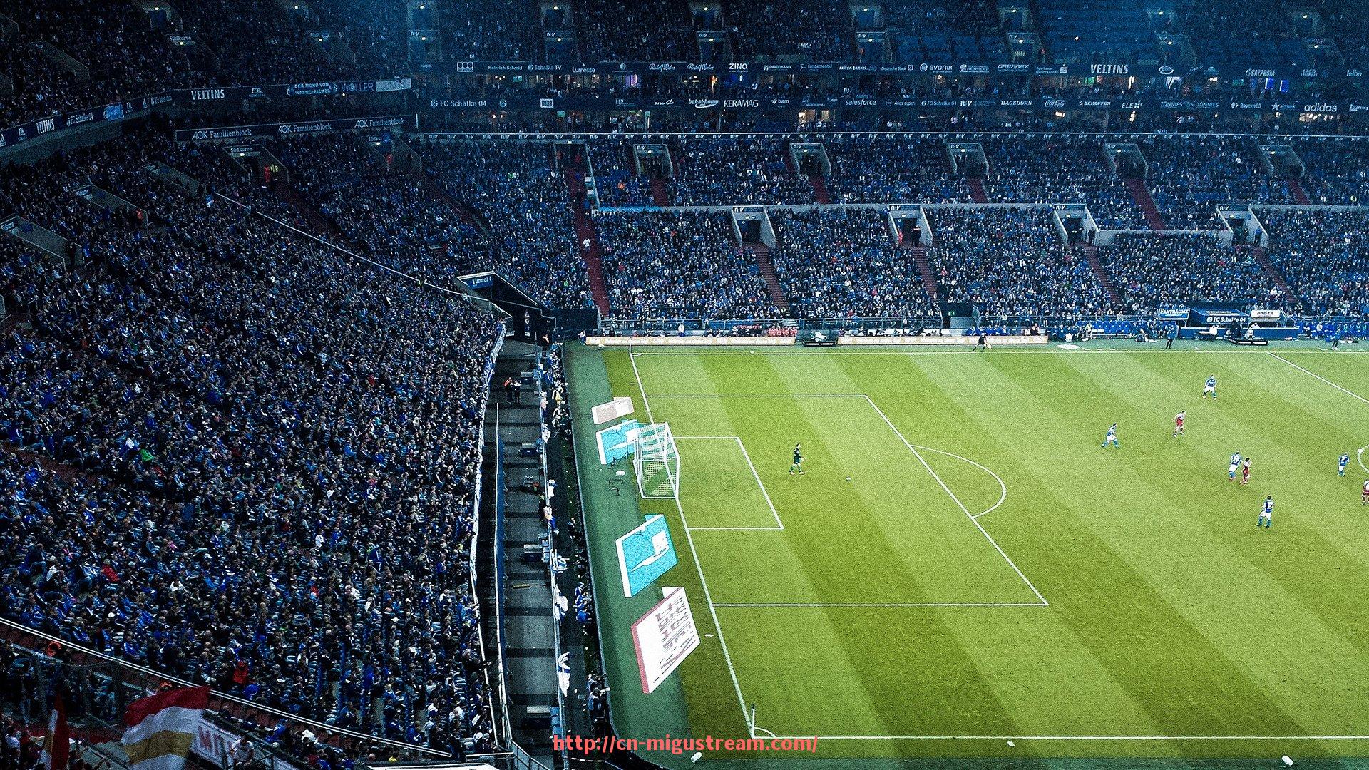 咪咕体育直播-按照运动功能区分健身器材类型及锻炼部位归类